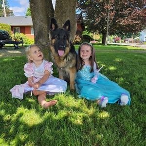 Meet your Posher, Robin